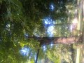 WP_20160913_11_48_30_Pro.jpg